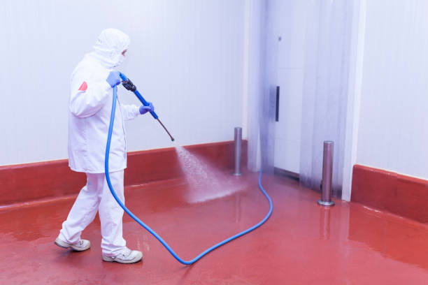  Hot Springs, AR Pressure Washing Pros